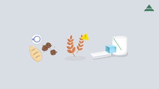 AgraStrip® Gluten G12 Test Kits | Rinsate Testing Procedure | Instructional Video