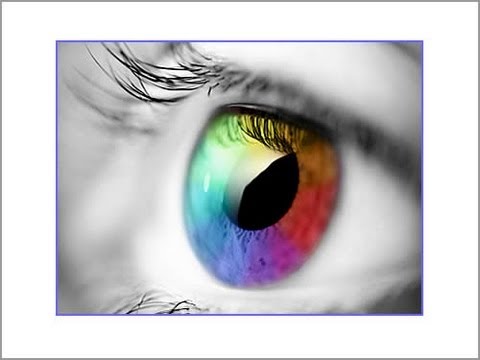 賺錢交易市場 - 贏取股票，外匯和商品的技巧2013年。 (Make Money Trading Markets - Tips to winning in Stocks, FX & Commodities 2013)