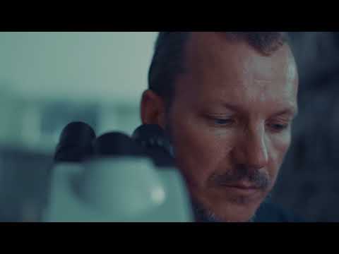 Tradd Cotter - Mushroom Mountain