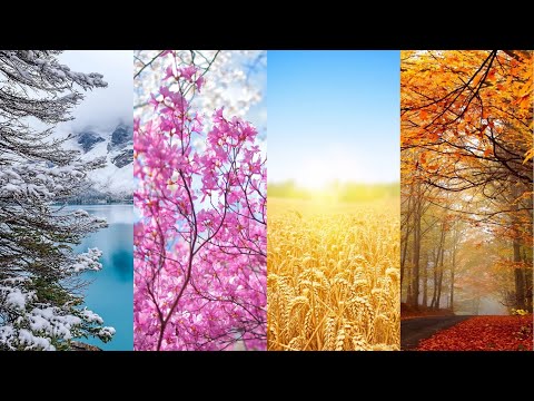 Вивальди - Времена Года / Vivaldi - Four Seasons