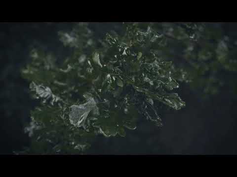 Komm, entdecke mein Emmental