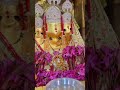 Bajvi Bajao Bajao Shahnai Aaj More Angna Me Amberani आई Bhajan Status Manishtiwari Maabaglamukhi