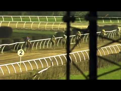 06.01.2013 Neuss 7.Race  1. Lauf zur Wintermeisterschaft der Amateure - Agl. 4 (F) 1.500 m