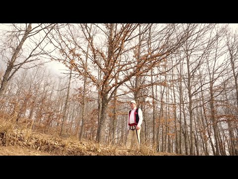 Musa Dauti - Atdhetarit Osman Lita