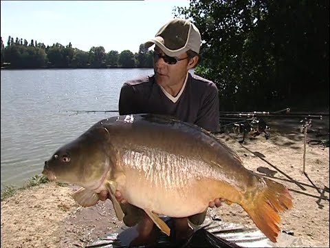 Lake Escapes - French Carp Fishing - Matt Hayes