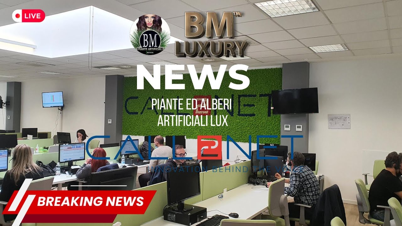 BM Luxury | Call2Net Milano | Lichene Stabilizzato Naturale e Piante Artificiali da Ufficio