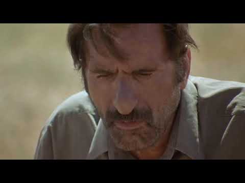 The Song of Sparrows