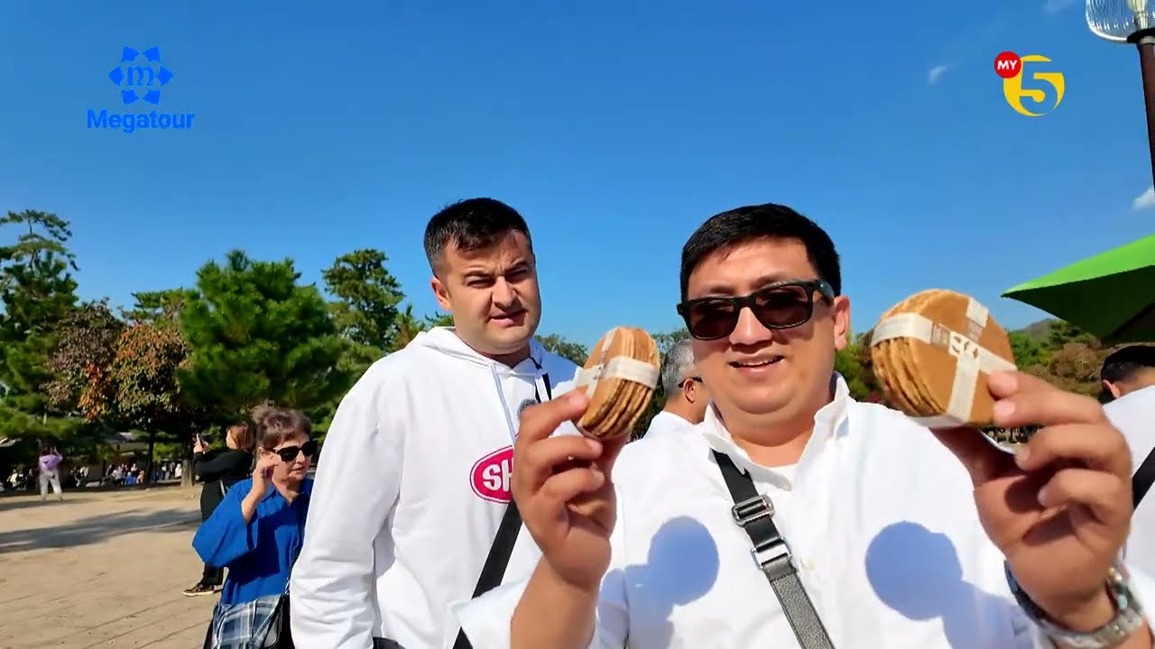 Видео без названия