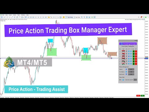 Video Price Action Trading Box Manager Expert For MT4