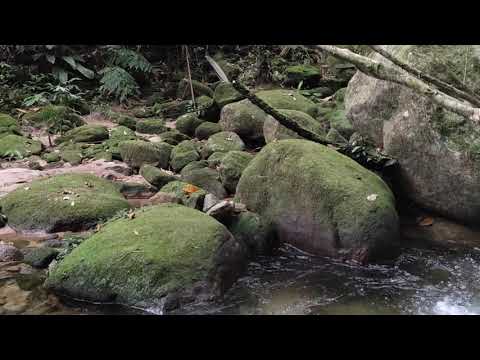 OLHA que LUGAR BACANA no bairro MASSAGUAÇU