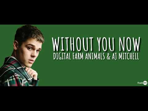 Digital Farm Animals, AJ Mitchell - Without You Now 🎵 (Lyric)