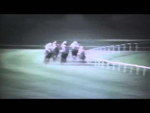 Nagroda Przedświta - 4.09.1991 - Brochwicz (Jaguar - Bogna)