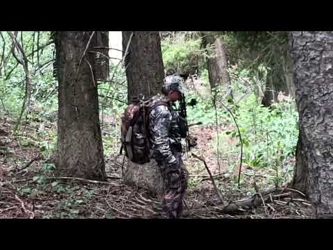 8x8 Bull elk. Archery Elk Hunt 2020 Idaho. #archery #elk #elkhunt #elkhunting #bowhunting