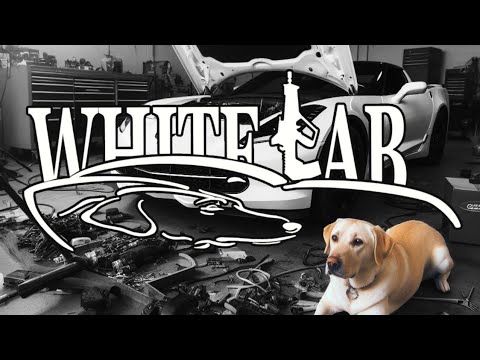 How to Replace a Rear Main Seal on a Small Block Chevy (SBC) - Step-by-Step Guide