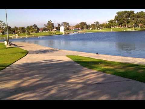 Bright Soul Haile Maskel aka Mikey Ras Starr