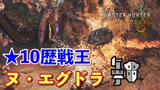 初見！星10歴戦王ヌエグドラド討伐、ガンランスソロ【モンハン実況】【モンハンワイルズ】