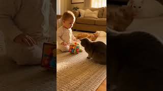 Download lagu #baby mp3 Download lagu #baby mp3