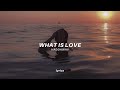 Haddaway What Is Love Lyrics Mike O Hearn Meme Baby Don T Hurt Me Tiktok Song