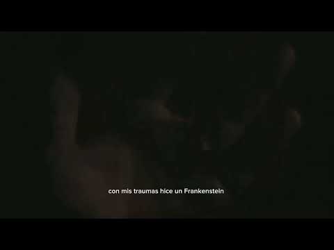 bienvenido a casa, frank