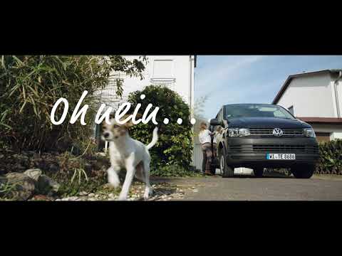 Warum es wichtig ist, sein Haustier zu registrieren