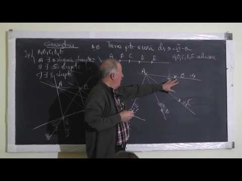 1/2 Lectia 1227 Puncte si drepte Puncte simetrice fata de un punct dat Lungime segment - Clasa 6