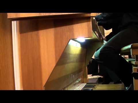 Volumina (extraits) - Gyorgy Ligeti - CannesTemple 2013