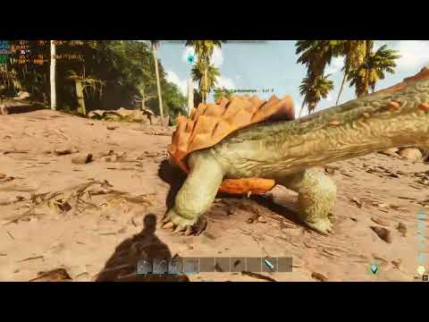 Ark Survival Ascended On Ryzen 5 5600G RTX 3070