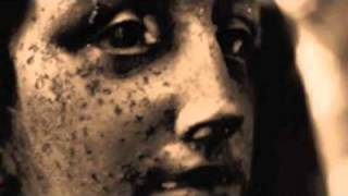 Elizabeth Anka Vajagic - Where you Wonder