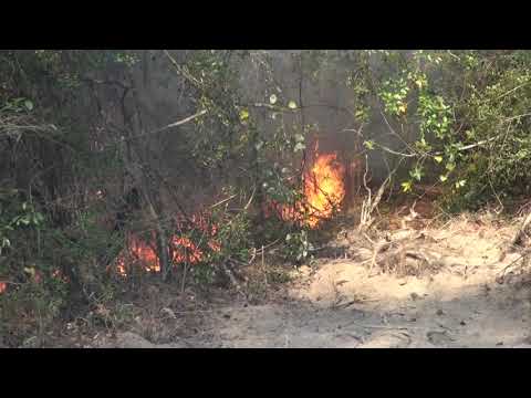 111620 FOSTORIA ROAD WILDFIRE MCPR