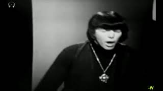 The Music Machine - Talk Talk (Stereo Remix)