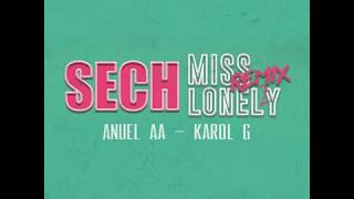 Sech Ft. Anuel AA &amp; Karol G - Miss Lonely (Remix 2)