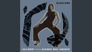 Black Bird Music Video