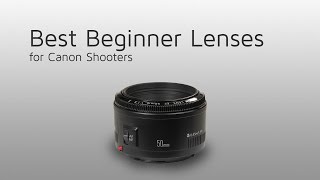 Best Canon lenses for beginner photographers