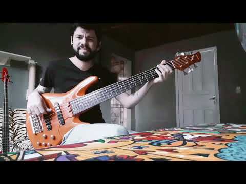 Medley Portal Gaúcho (Baixista De Vaneira)