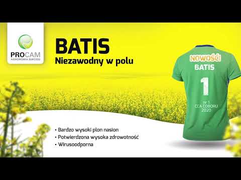 BATIS - Niezawodny w wyścigu po najwyższe plony