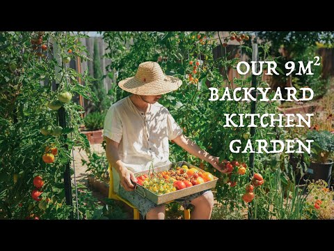 , title : 'Our 9 sqm backyard kitchen garden, 6-month vegetable garden journey'