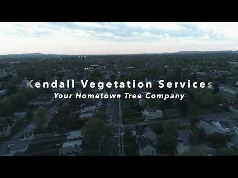 Kendall Vegetation Services Reviews