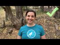 What To Do If You See A Black Bear