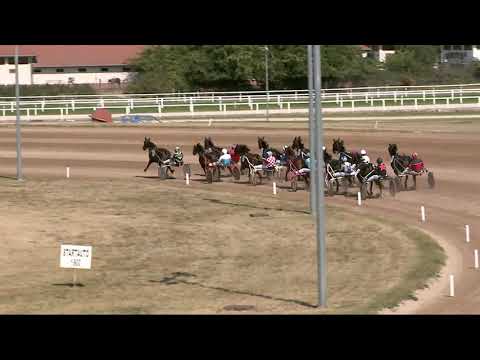 2021.09.12. 02. futam - ELEGANT YANKEE DÍJ