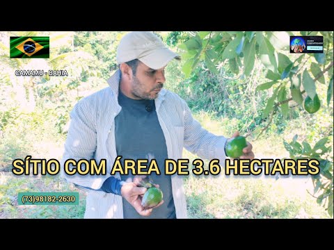 Sítio à venda na zona rural de Camamu na Bahia,3.6 hectares,com água, topografia plana e semiplana.