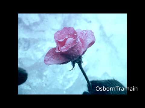 1970's Mobil One Commercial - Frozen Flower and Bananna