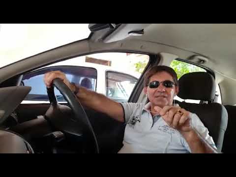 CCB Testemunho do pé de Jabuticaba