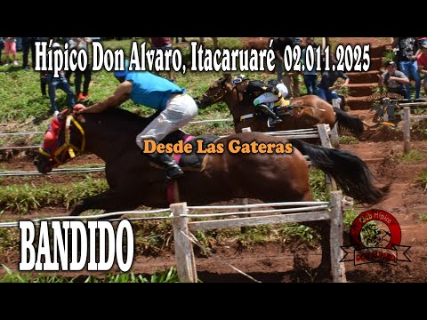 BANDIDO - HIPICO DON ALVARO, ITACARUARE, MISIONES 02.11.2025