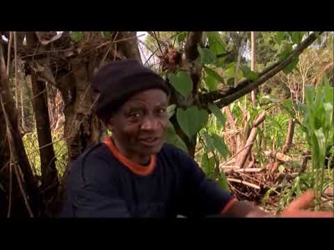 Les crimes du  commandement opérationnel au Cameroun