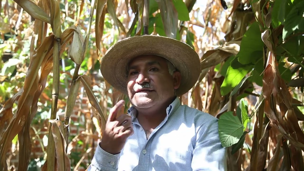 Hechos de Maíz - Documental Original