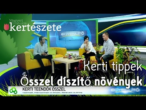 Ősszel díszítő növények - Megyeri Szabolcs kert tanácsadó