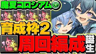 【木属性】育成枠2で4分台周回！ずらしで爆速プラマラ！魔夏の+限界突破コロシアム 絶対にやろう！【パズドラ】