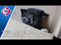 Dierenvoedselbank in nood door kapotte bus