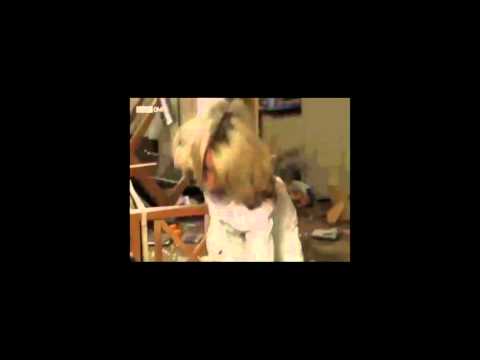 Vanessa's Revenge (Bubbly in the fridge)