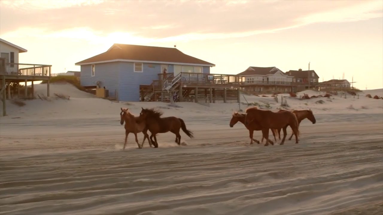 Great Destinations 01-24-2021